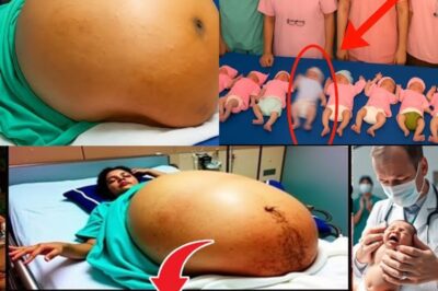 Mother Gives Birth to 10 Babies and Doctors Realize One of Them Isn’t a Baby! Biggest Shock!