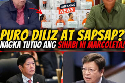 tama si marcoleta when it comes to projecting the entire ridiculous and irresponsible behavior in the flood control scandal mission