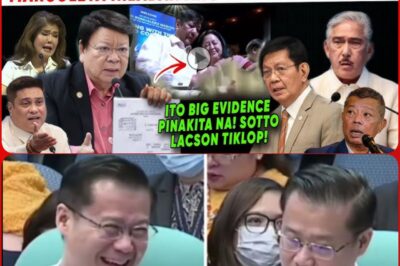 Senate Leadership Left Speechless as Marcoleta Confronts Panel with Imee Marcos’ Shocking “Addiction” Revelation: Is the Administration on the Brink of Collapse?