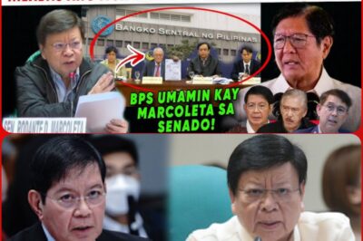 a chaotic scenario: the philippine central bank was questioned so much by marcoletta that the atmosphere in the meeting room exploded