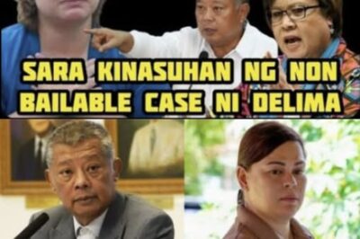 A Crushing Plunder Case: Non-Bailable Complaint at the Ombudsman Threatens to Expose Vice President Sara Duterte’s Financial Secrets!