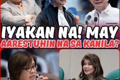 Bago Magpasko, May Maaarestuhing Senador Ba? Mga Sangkay, Tingnan Natin ang Posibleng Pagpapatupad ng Ombudsman Remulia sa Flood Control Scandal at Ang Posisyon ng Senado!