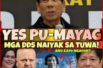 Yes! It’s finally here! The 1CC update is out! Awesome! Hot news! Latest information: DDS will be thrilled!