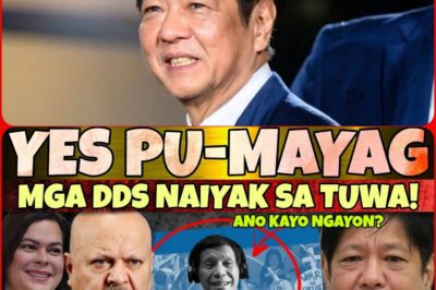 The 1CC update has finally arrived, and the recently confirmed information has sent the DDS community into a frenzy of excitement.!