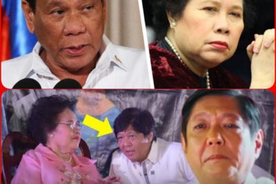 A secret message from the late Senator Miriam Defensor Santiago has finally been fully understood!
