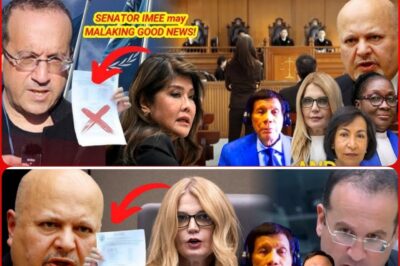 What many have been praying for seems to be taking shape as Atty Kaufman is named in a legal move that could shake the entire ICC case against former President Rodrigo Duterte.