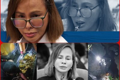 The sudden death of Cathy Cabral has reignited tensions surrounding the investigation into flood control projects.