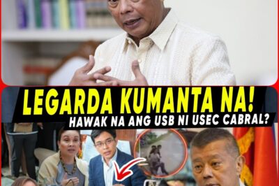 The Ombudsman’s unexpected withdrawal fuels speculation as Legarda Leviste’s name is dragged into the storm.