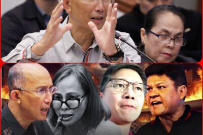 A DIRECT SLAP IN THE FACE! LAGOT MAGALONG’S SECRET IS REVEALED—WHY NOT ANNOUNCE IT SOONER? TENSIONS RISE!