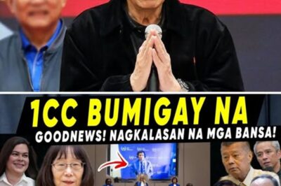 Gumuho ang Pader ng The Netherlands: Ang Unti-unting Pagbagsak ng ICC at ang Tiyak na Paglaya ni Dating Pangulong Duterte!