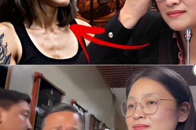 FROM CITY HALL TO BARRIERS: THE FALL OF ALICE GUO’S EMPIRE AND THE TRUTH BEHIND HER FAKE IDENTITY!