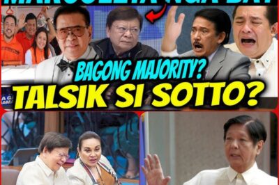 TENSION REACHES ITS PEAK! MARCOLETA IS ABOUT TO BE SENATE PRESIDENT ACCORDING TO RUMOR!