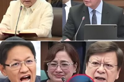 Hearing sa Senado Nagulat: Testigo Naglabas ng Video nina Marcoleta at Sarah Discaya, Umunong Relasyon Nabisto Habang Umiinit ang Talakayan sa DOJ!