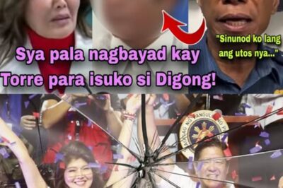 Imee Marcos, INILANTAD KUNG SINO ANG NAG-UTOS KAY GENERAL TORRE PARA DAKIPIN SI RODRIGO DUTERTE!