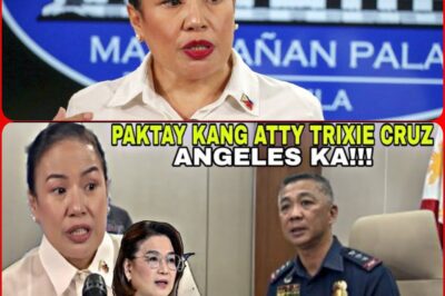 TENSION REACHES ITS END! SUSPICION THAT THE DUTERTE FAMILY SUPPORTED ATTY TRIXIE – WHO IS MASTERING THIS STORY?