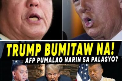 AMAZING! While the Vice President’s fund is under intense controversy, a shocking revelation about a secret $4.5 billion “Bongit” fund has been exposed!