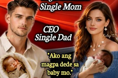 THE FLIGHT OF THE HEART. How a Single Mom’s Kindness Won a CEO? The Love of a Stewardess and a CEO.