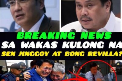 SHOCKING! “BALIK SA LOOB NG KULUNGAN?” THE QUESTION CAUSES A STORM AS THE NAME JINGGOY-REVILLA SUDDENLY COMES BACK IN THE WORLD.