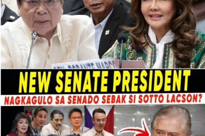 SHOCKING NEWS!!! Amidst the heated investigation into the Flood Control scandal, a 576-page “Minority Report” has been released by Senators Rodante Marcoleta and Imee Marcos that has silenced the leadership!