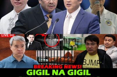 POLITICAL SHOCKWAVE! JOEL VILLANUEVA’S CONDITION IS RUMORED TO BE “CRITICAL” — BEHIND BARRELS, A SECRET IS UNCOVERED, IS BONG REVILLA BEING NAMED?
