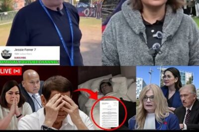 A shocking news has emerged from the Senate: 15 senators have united, appealing to the International Criminal Court (ICC)!