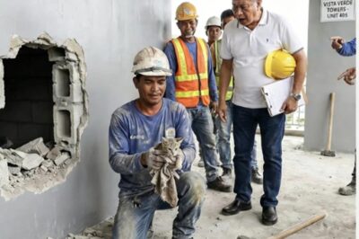 A CONSTRUCTION WORKER DAMAGED A NEWLY PAINTED WALL WITH A MAST, SO THE ENGINEER BEGAN AN OUTRAGE AND HAD HIM REMOVED FROM THE JOB IMMEDIATELY, BUT EVERYONE STOPPED WHEN THEY HEARD A SOFT “MEOW” FROM THE HOLE