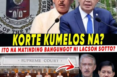 SHOCKING NEWS: “Karma came too quickly” unexpectedly erupts around Tuta and Pinky, social media is abuzz with questions raised about their allegedly outrageous behavior!