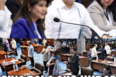 BIG STORM HAS BEEN RELEASED! “TRAYDOR SA SENADO” ACCUSED OF BEING TRAINING IN A CRY — PUBLIC OPINION DIVIDED, CONTROVERSY ERUPTS!