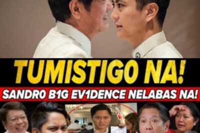 Here you go! Sandro has spoken out in front of everyone and revealed the HUGE evidence the nation has been waiting for – shocking revelations that will bring down corruption and power!