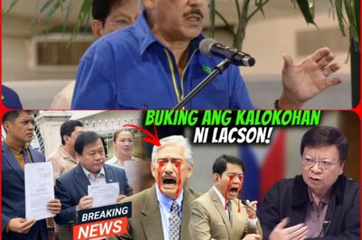 LEGAL SHOCK! Information Allegedly Submitted to the Supreme Court of the Philippines Causes Public Outrage!