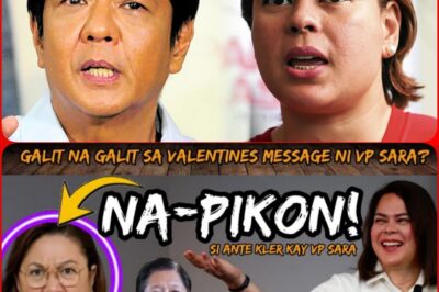 TENSION REACHES ITS PEAK! President Sara Duterte’s Valentine’s !