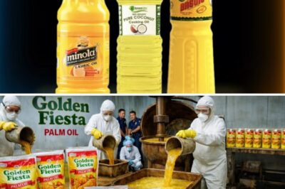 ALERTO SA KUSINA: 6 na Sikat na Mantika na ‘Traydor’ Pala sa Puso? (At 2 na Dapat Mong Bilhin Agad!)