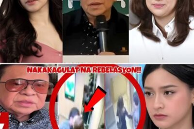 Diretsahang Pagtanggi ni Chavit Singson sa Isyu Nila ni Jillian Ward, Nabahiran ng Nakakagulat na Akusasyon ng Pang-aabuso Laban sa Ina ng Aktres