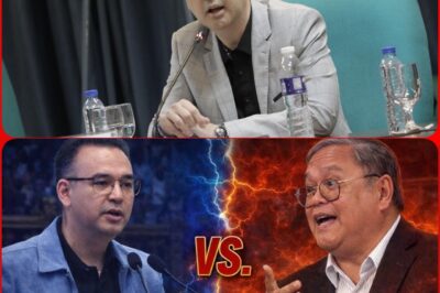 ICC or Supreme Court? Alan Peter Cayetano and Atty. Mel Sta.