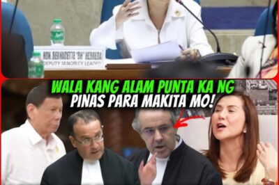 LEGAL SHOCK – PART 3! Bernadette Herrera is ALLEGEDLY MAKING A SENSATIONAL STATEMENT REGARDING THE INTERNATIONAL CRIMINAL COURT!