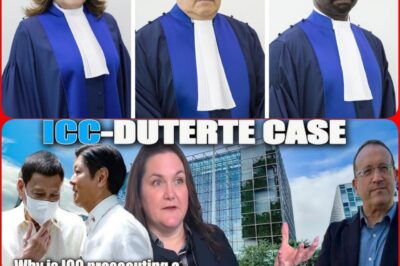 INTERNATIONAL SHOCK! International Criminal Court Judge Allegedly Stunned by Questions Regarding Rappler!