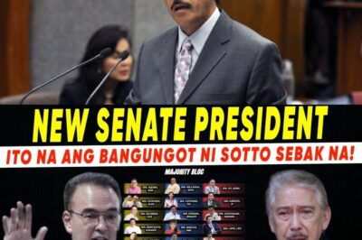 A SENATE STORM! “KUDETA” OR A POWER-SHAKE CONSPIRACY – NEW SENATE PRESIDENT REVEALED, SOTTO FACING A HISTORICAL FALL?