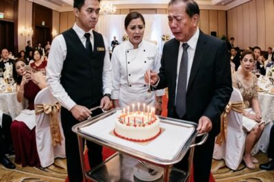 A FAMOUS CATERER’S CAREER WAS ALMOST RUINED BECAUSE OF A CUTE ASSISTANT WHO SWAPED AN EXPENSIVE TRUFFLE CAKE FOR A SIMPLE CASSAVA CAKE IN FRONT OF MANY VISITORS