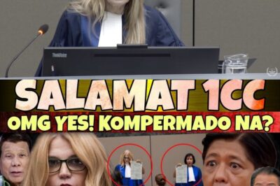 BREAKING NEWS CAUSES A SHOCK! Information circulating regarding the International Criminal Court has reportedly stunned many!