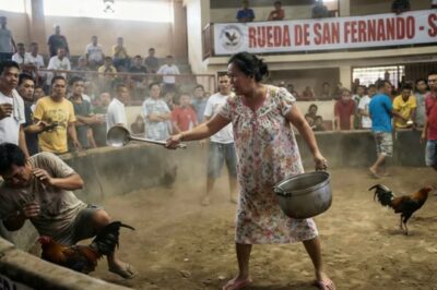 THE WIFE STARTED THE FIGHT WITH THE POT AND SPOON TO CATCH THE CHICKEN THAT WAS DRAINING THEIR MONEY, SO THE DERBY ENDED IN A BIG TINOLA PARTY