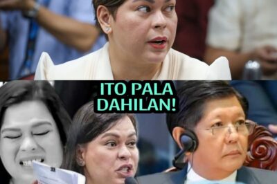 SHOCKING NEWS! PHILIPPINE POLITICS: SARA DUTERTE SUDDENLY STEPS DOWN, THE TRUTH SHOCKS EVERYONE!