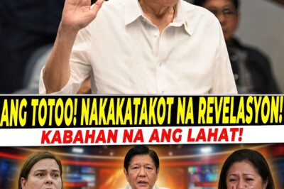 vpsara released goodnews that suddenly shocked the entire political arena and public opinion, while the blockbuster news about her sudden bumitaw and umamin all over the media shook the palasy0