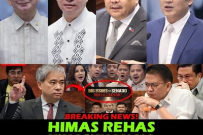 SECRETS EXPOSED? A host of big names like Joel Villanueva, Chiz Escudero!