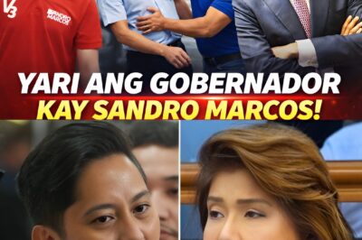 Uminit ang usapan online matapos umanong gumanti si Sandro Marcos sa gobernador na umano’y nambully kay Vincent. Ano ang totoo?