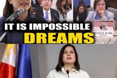 RODRIGUEZ “SHUTS DOWN” RUMORS OF IMPEACHMENT OF VICE PRESIDENT SARA: “NO EVIDENCE!” – De Lima SURPRISED BY THE FIERCE STATEMENT