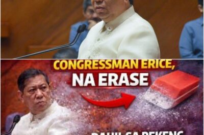 Reform or Illusion? The Stunning Removal of Edcel Lagman Erice Following His Stand Against a Controversial Anti-Dynasty Proposal Sparks Nationwide Reflection on Political Families, Institutional Integrity, and the Unfinished Promise of the 1987 Constitution.