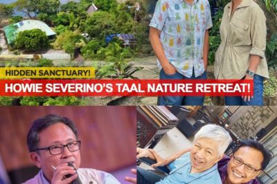 SURPRISE: Inside the Earth Dome & Tree House Sanctuary – A Green Living Space That Amazes Viewers!
