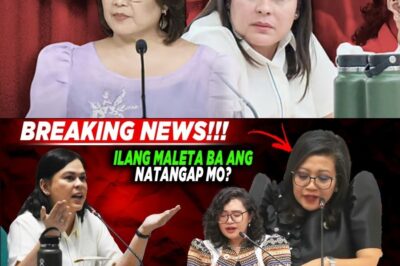 LUISTRO “GIGIL”? LEGAL PRESSURE AND INTENSE ARGUMENTS IN PARLIAMENT!