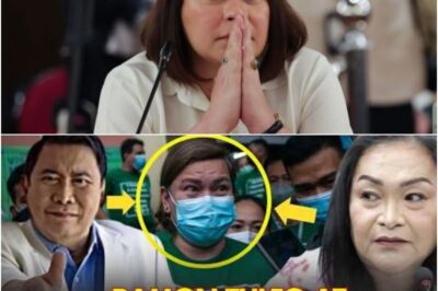 A Storm of Allegations: The Ramil Madriga Case, Explosive Claims by the Tulfo Brothers, and the Growing Political Tension Around Sara Duterte