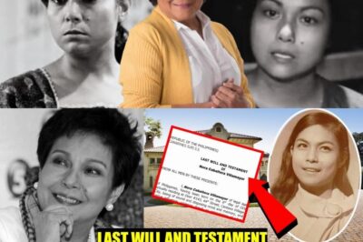 DO YOU REMEMBER! At age 69, Filipino film legend Nora Aunor unexpectedly became the center of attention when information about her final will emerged.